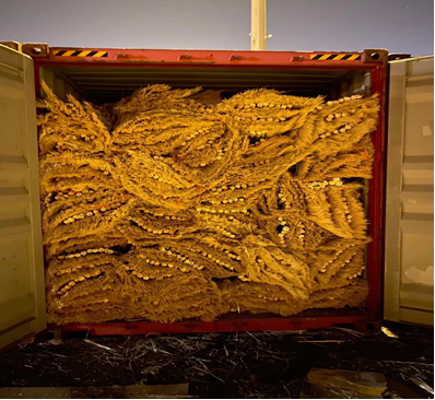 �й�������¼�����ó����ɨ������